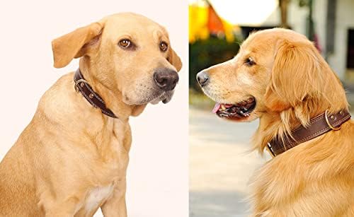 Персонални нашийници за кучета LamePaws - Индивидуален кожен нашийник за кучета с выгравированной табелка - Индивидуален нашийник за кучета от мека кожа с потребителска идентификация биркой - за малки кучета, среден